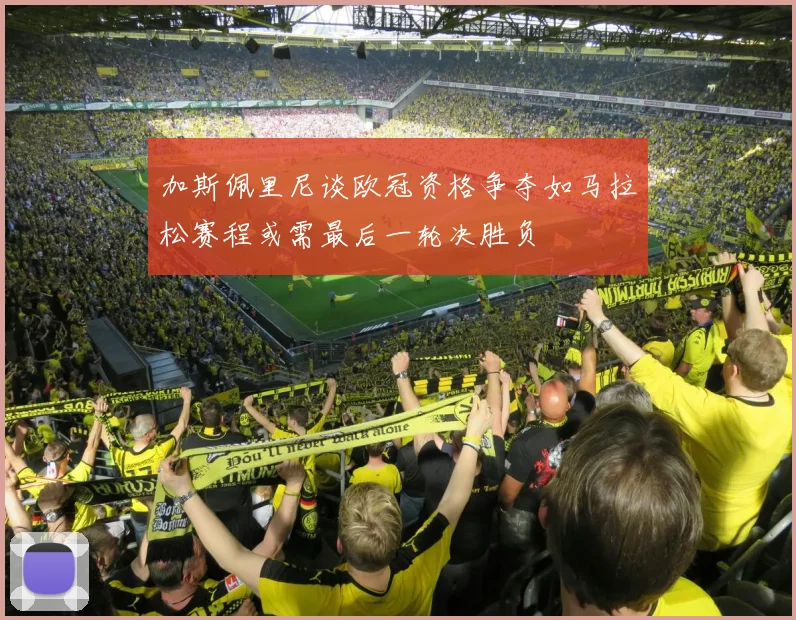加斯佩里尼谈欧冠资格争夺如马拉松赛程或需最后一轮决胜负
